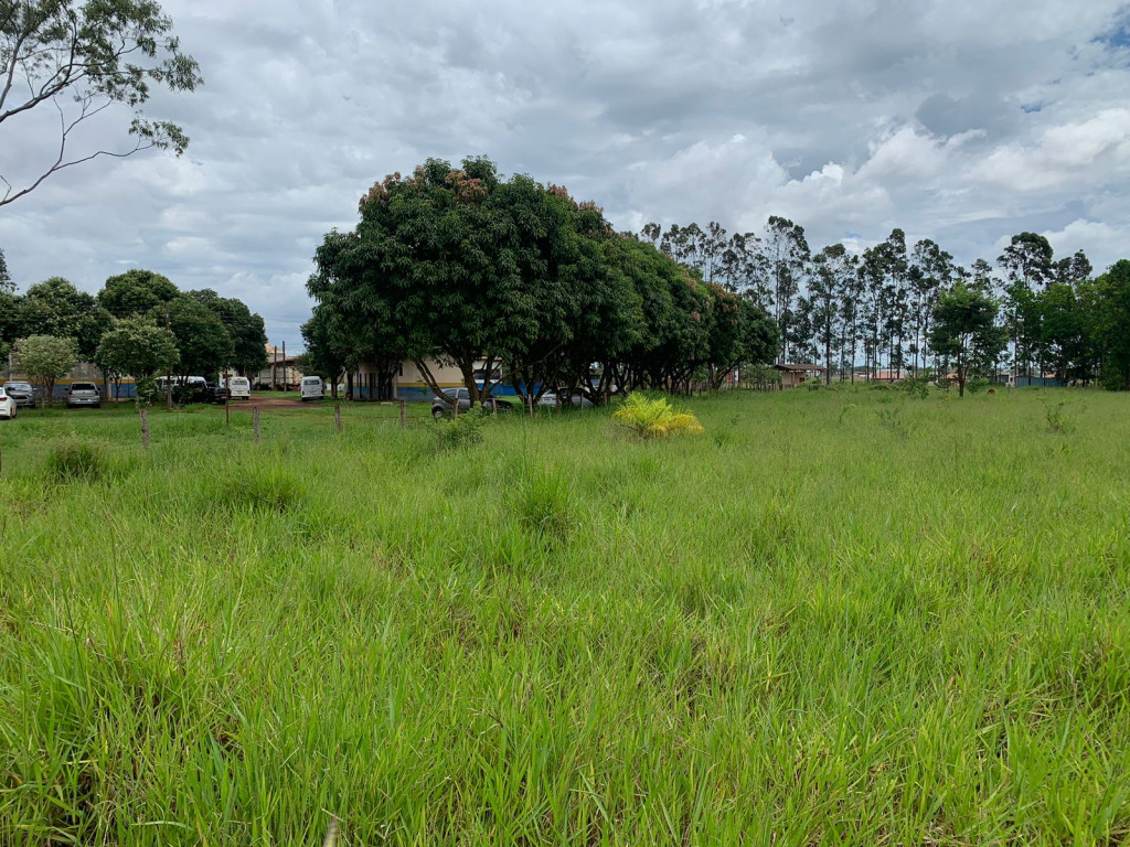 Matagal toma conta de terreno do CCZ em Dourados (Foto: Dourados Informa)