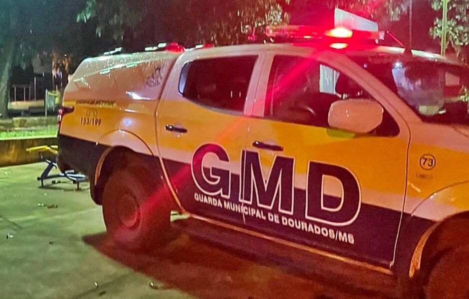 Guarda Municipal de Dourados atendeu a ocorência / Divulgação/Guarda Municipal de Dourados