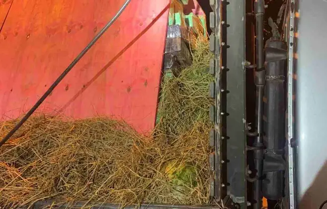 Operação da PRF em Dourados apreende 16 toneladas de maconha e quatro pessoas são presas
