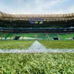 Palmeiras vai inaugurar setor no Allianz Parque com ingressos mais baratos