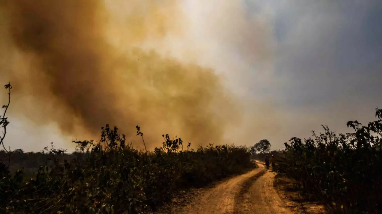 ALVO DE OPERAÇÃO CONTRA GRILAGEM EM MS JÁ RECEBEU MULTA ‘PESADA’ POR INCÊNDIO NO PANTANAL