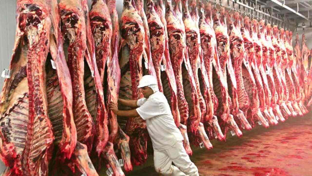 MS registra exportação de 123,4 mil toneladas de carnes e derivados até abril de 2025